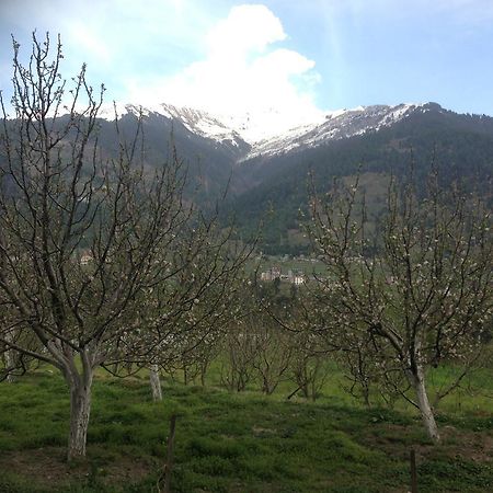 Akash Hills Hotel Manāli Dış mekan fotoğraf