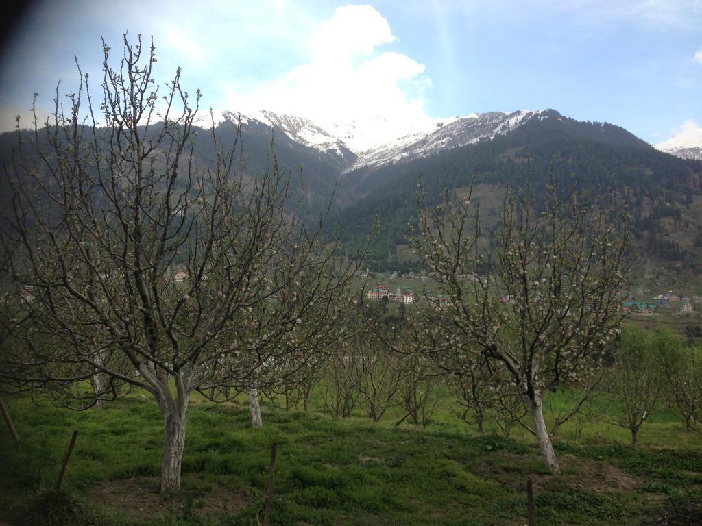 Akash Hills Hotel Manāli Dış mekan fotoğraf